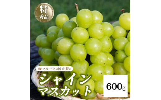 ＜25年発送先行予約＞シャインマスカット  600g　154-008-600g | フルーツ 果物 高評価 人気 ランキング おすすめ 甘い 美味しい デザート 数量限定 送料無料 山梨県産 笛吹市　種なしぶどう 「販売」 KEIPE株式会社