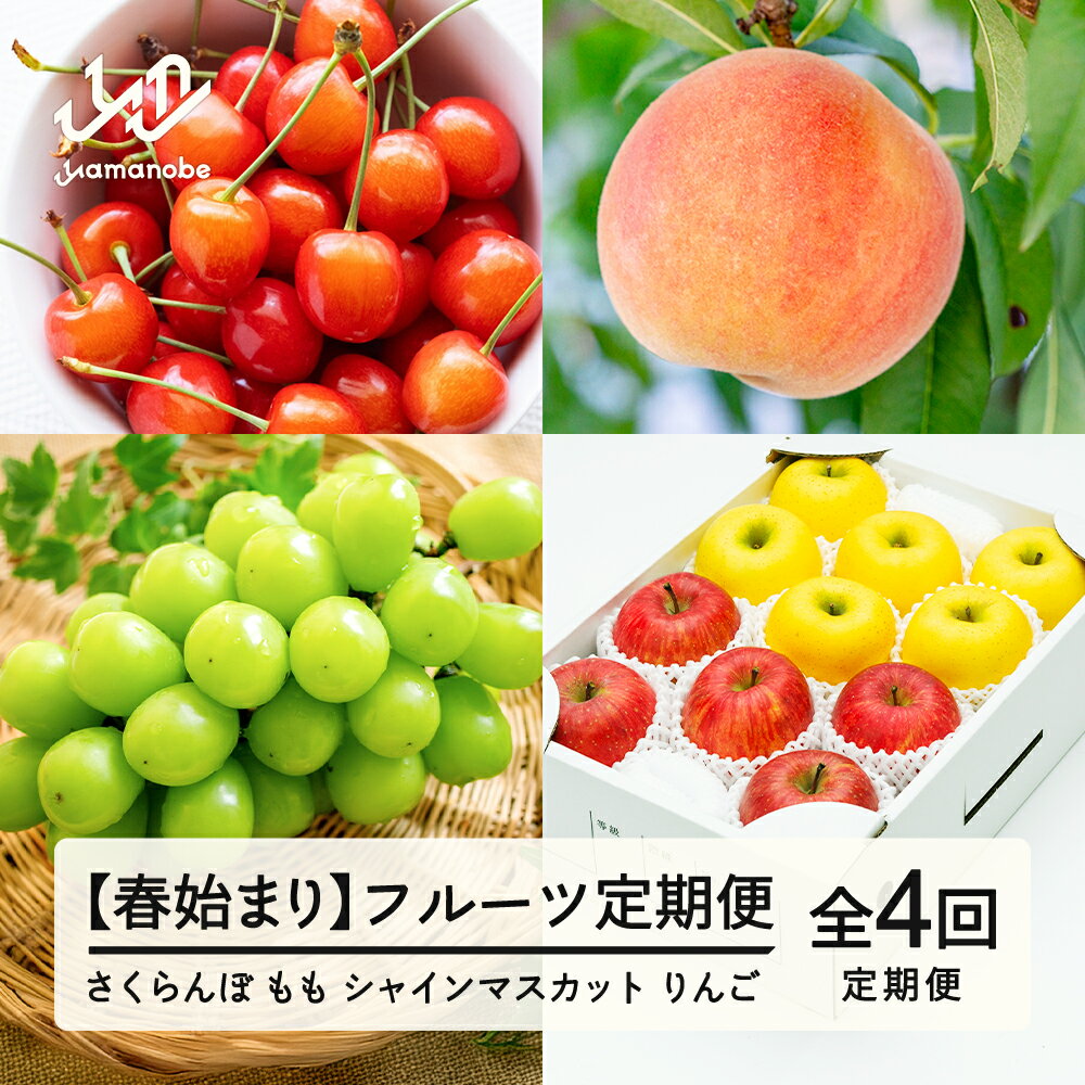 【ふるさと納税】【先行予約】【春始まり】フルーツ定期便 全4回 2026年産 令和8年産 さくらんぼ 佐藤錦 白桃 ぶどう シャインマスカット りんご サンふじ シナノゴールド 果物 送料無料 ns-ft4xx-sp ※沖縄及び離島への配送不可