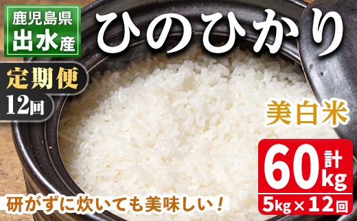 
                  i664 ＜定期便・計12回(連続)＞鹿児島県出水市産ひのひかり美白米＜5kg×全12回＞ 米 5kg 計60kg お米 白米 ヒノヒカリ 美白米 定期便 自家脱穀 自家精米 精米 おにぎり ごはん お米マイスター 厳選【田上商店】
                