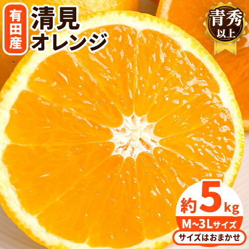 【ふるさと納税】【濃厚】有田産 清見 オレンジ 約 5kg（M〜3Lサイズおまかせ）青秀以上 日高町厳選館《2025年2月中旬-3月末頃より出荷予定》和歌山県 日高町 柑橘 果物 フルーツ 清見オレンジ
