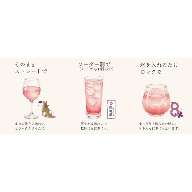 「深川リキュルラボ」クラフトリキュール「8th　Ocean　柴梅酒」720ml 【kt043-004】