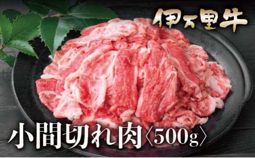 【ふるさと納税】伊万里牛 A5 小間切れ 500g 015-J622