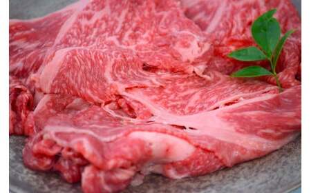 鳥取和牛 切り落とし 1.2kg（ 600g × 2P ） 切り落とし 牛肉 国産 和牛 黒毛和牛 肉 ブランド牛 国産牛 鳥取県 倉吉市 KR485