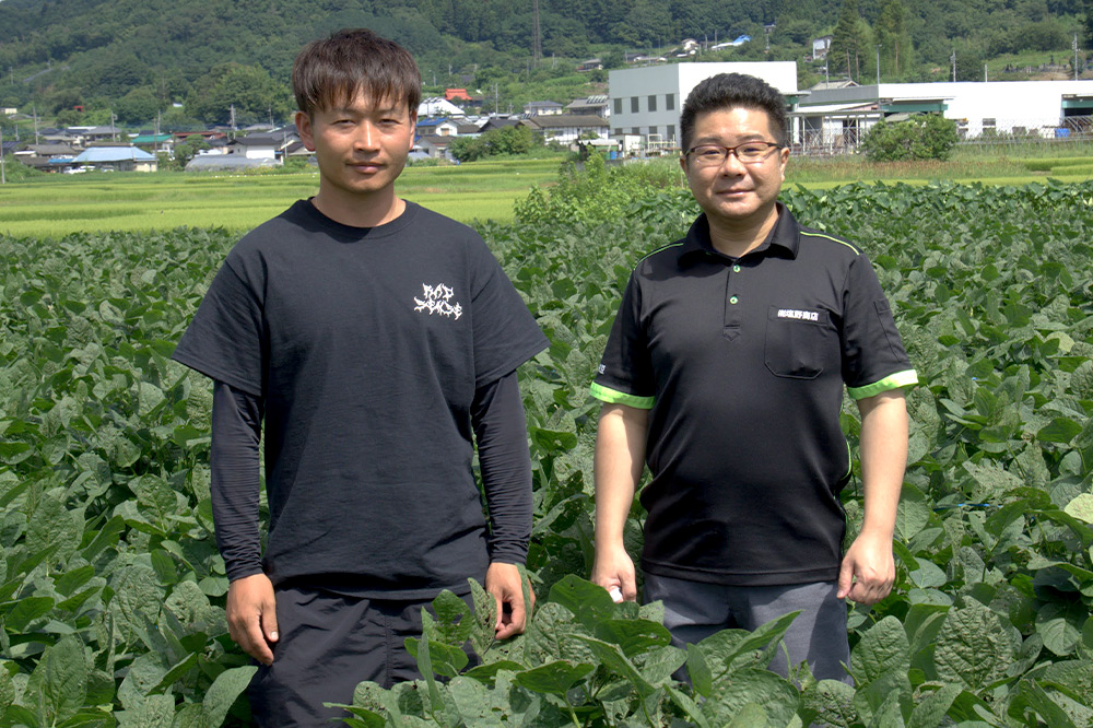 《8月上旬〜9月下旬発送》厳選 天狗印枝豆「味緑（みりょく）」約2.5kg