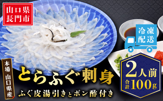 とらふぐ刺身 2人前 冷凍【フグ ふぐ刺身 ふぐ 河豚 ふぐ刺し 刺身 人気 国産 とらふぐ 養殖 宴会 板前 ポン酢 薬味 家族 山口県 配送日指定可能 日時指定可能 】