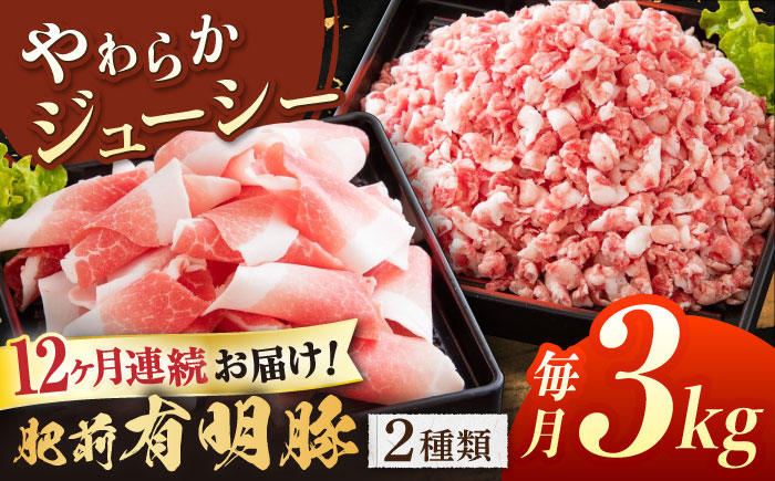 
【12回定期便】肥前有明豚 2種 切り落とし・粗挽きミンチセット 総計36kg【くすのきファーム】 [NAS103]
