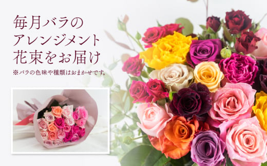 【定期便】薔薇のアレンジメント (バラ20本+ユーカリ)  6ヶ月 6回お届け アレンジブーケ バラ 薔薇 花束 ローズ 生花 赤 ピンク 色おまかせ 観賞用 プレゼント 花 ギフト 誕生日 植物 フ