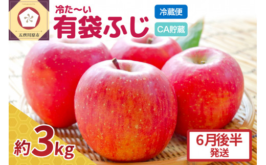 【6月後半発送】りんご ふじ 贈答用 約 3kg 【 有袋栽培 CA貯蔵 クール便 果物類 林檎 リンゴ ふじりんご フルーツ 青森 五所川原 】