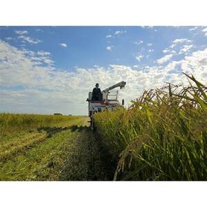 大潟村高橋農場　特別栽培米「あきたこまち」5kg【1672496】