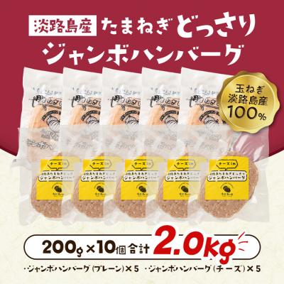 ふるさと納税 淡路市 淡路島たまねぎどっさりジャンボハンバーグ プレーン&チーズセット 200g×10個　ai01885 |  | 03
