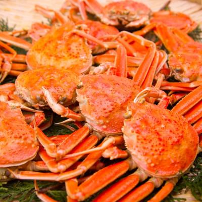 ふるさと納税 森町 【訳あり】浜茹でオオズワイガニ 1.5kg 詰め込みセット 北海道噴火湾産