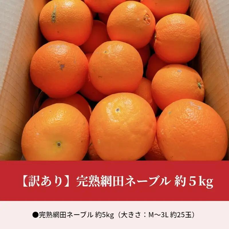 村田果樹園 【訳あり】網田ネーブルオレンジ 約5kg（16～20玉） _U101-0015