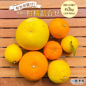 ＜旬をお届け！季節の柑橘詰合せ 2回定期便（1回約3kg×2回 合計約6kg）＞みかん ミカン 詰め合わせ つめあわせ 蜜柑 果物 フルーツ お楽しみ 食べ比べ 特産品 愛媛県 西予市【常温】『1回目：2026年1月下旬～2月上旬／2回目：2026年2月下旬～3月上旬迄に順次出荷予定』ANS0013
