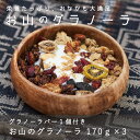 【ふるさと納税】 グラノーラ 手作り 自家製 KOO’S GARDEN お山のグラノーラ 保存料不使用 着色料不使用 無添加 焼き菓子 北海道 当麻町 朝食 お菓子 お取り寄せ 登山 アウトドア ガイド スポーツ キャンプ グルメ 送料無料 クーズガーデン