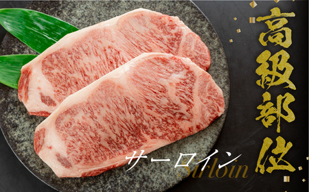 【ふるなび限定】飛騨牛サーロイン ステーキ 400g (200g×2枚)  ステーキ FN-Limited-PR