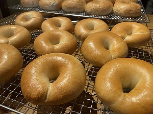 【毎日食べても飽きない】わっぱ堂のプレーンベーグル12個セット　H049-032