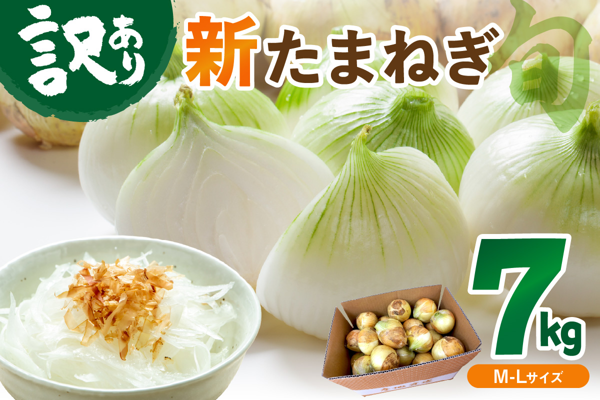 【訳あり】新たまねぎ　JA00063