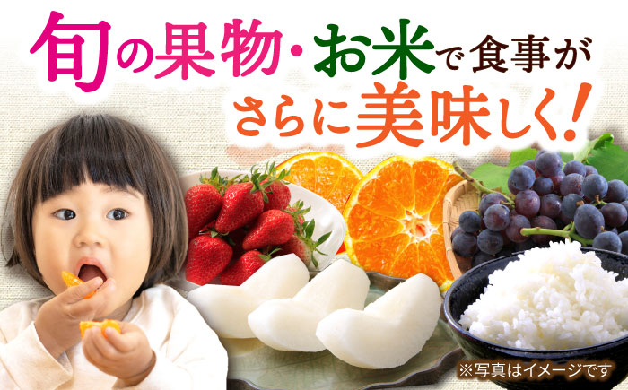 【5回定期便】厳選フルーツ＆旬のお米定期便（ いちご ぶどう 梨 お米 みかん ）/ イチゴ 苺 ブドウ 葡萄 なし ナシ 米 コメ こめ 白米 ミカン 蜜柑 フルーツ ふるーつ 果物 くだもの フル