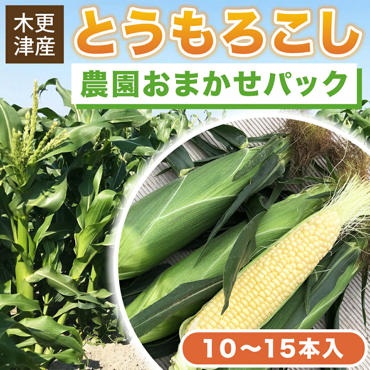 【ふるさと納税】 【先行予約】木更津産とうもろこし　農園おまかせパック約5キロ（10～15本入）ふるさと納税 とうもろこし トウモロコシ 玉蜀黍 とうきび コーン 旬 新鮮 季節 野菜 夏野菜 農園 おまかせ 千葉県 木更津市 KCN001