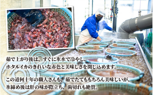 【先行予約】ほたるいか ボイル＆刺身セット【27年3月中旬以降順次発送】カネツル砂子商店【冷蔵 ホタルイカ 旬 朝どれ おつまみ 期間限定 海鮮 ボイル 刺身 ほたるいか 蛍烏賊 ボイルほたるいか 富