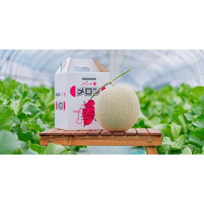 【ふるさと納税】富良野産　赤肉メロン　1.5kg～2kg×1玉【1760525】