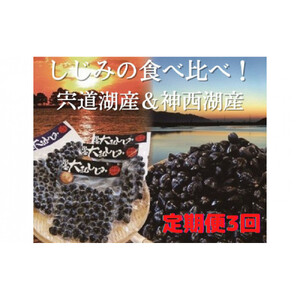 定期便 3回 しじみ 食べ比べ 宍道湖産500g (250g×2パック) ＆神西湖産750g (250g×3パック)）| しじみ