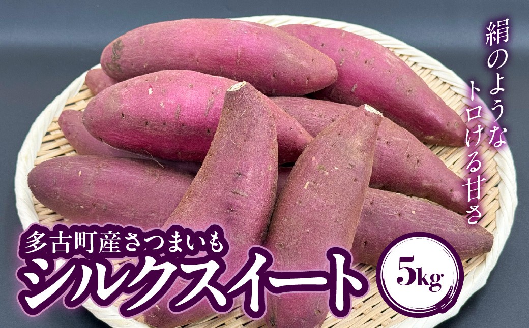 
                  多古町産さつまいも「シルクスイート」5kg TAKF032
                