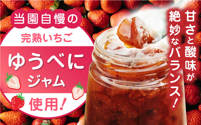 【全6回定期便】なかはた農園の苺クレープ 10本 山都町産 熊本県産【なかはた農園】 アイス おやつ おかし スイーツ デザート いちご イチゴ [YBI054]