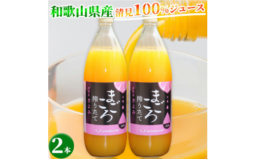 
ZE6406n_【まごころ搾りたて】清見 100%ジュース 1000ml 2本
