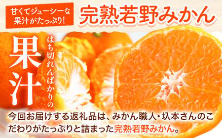 訳あり みかん 5kg 完熟 若野みかん 約5kg サイズ混合 圦本農園 