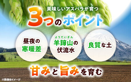 【5月上旬以降順次発送】 グリーンアスパラガス 1kg (S/露地栽培) アスパラ 野菜 [AJAM009]