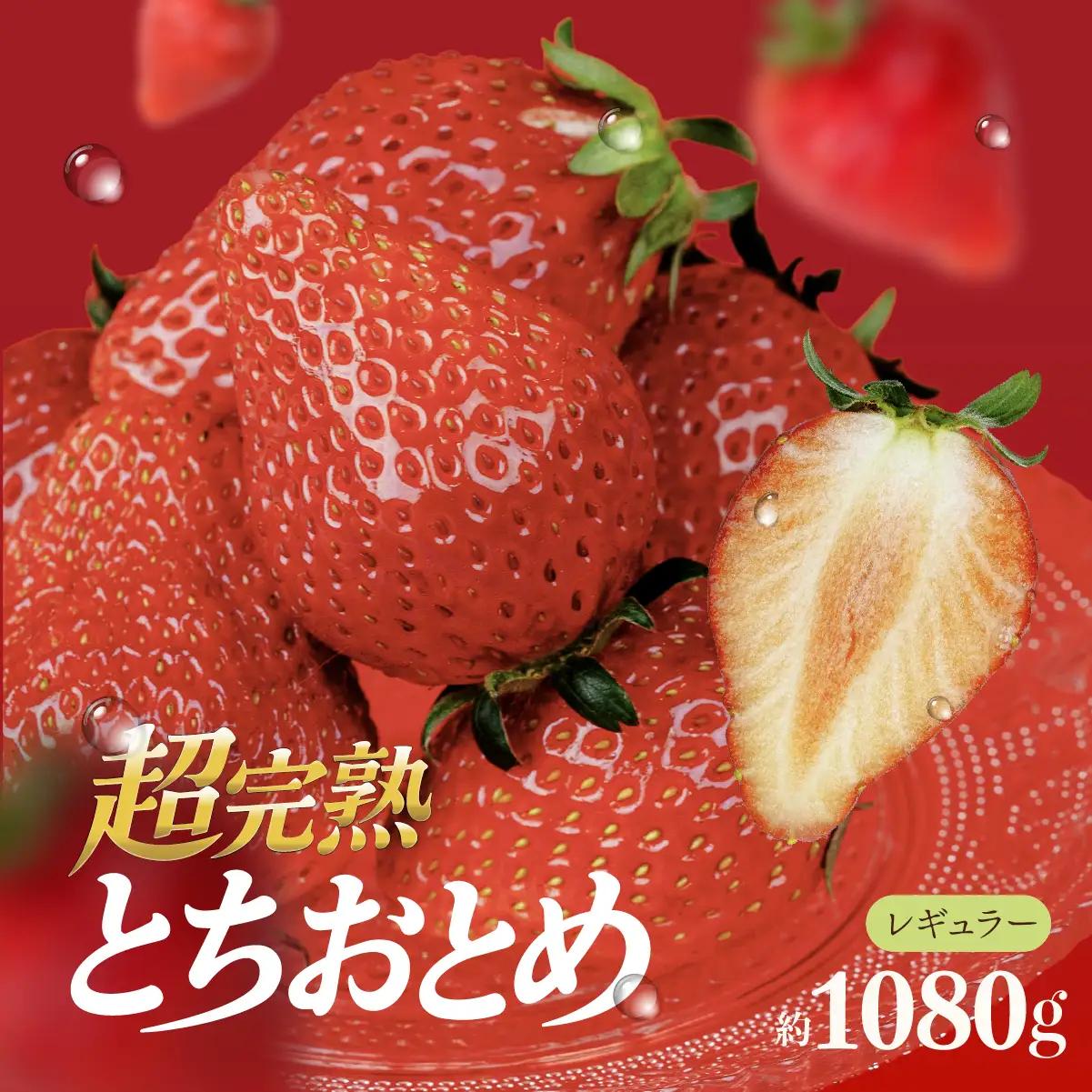 いちご【1月以降発送】朝採れとちおとめ レギュラーサイズ 約270g × 4パック 合計 約1080g |イチゴ いちご