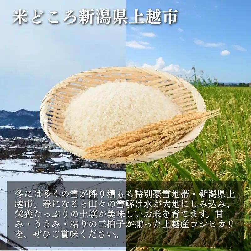 令和7年産 新潟県上越産 米物語 コシヒカリ 15kg (5kg×3袋）こしひかり 米 お米 上越市