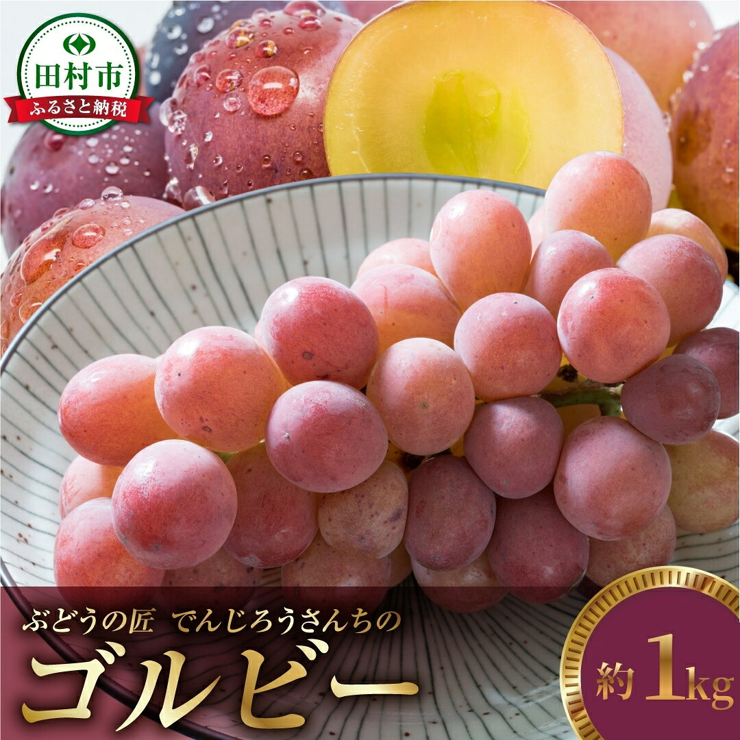【ふるさと納税】【2026年発送 先行予約】 ゴルビー 約1kg ぶどう 冷蔵 種無し 種なし 大粒 シャインマスカット 赤ぶどう ブドウ 品種 果物 フルーツ 甘い 巨峰 レッドクイーン 伊豆錦 交配 美味しい 希少 人気 ランキング 福島県 田村市 福島 鈴木農園 でんじろうさん