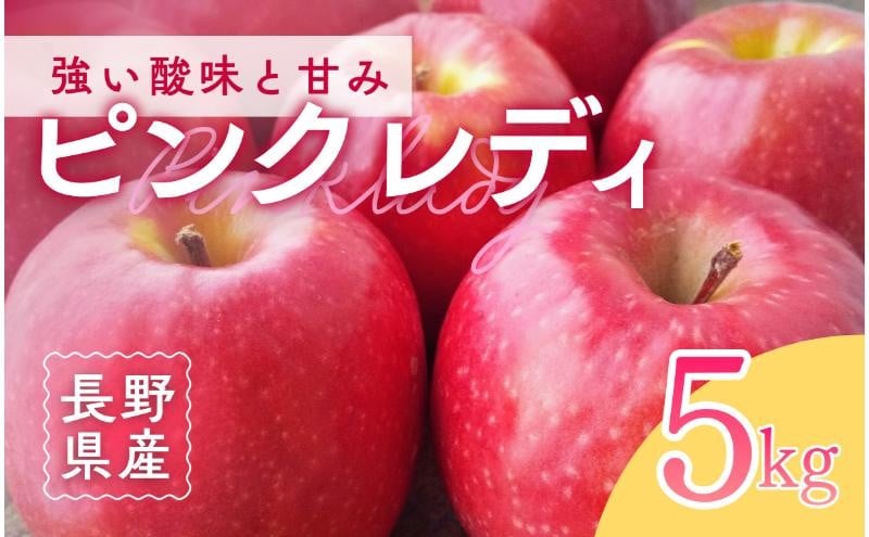 
            ピンクレディー(R)　5kg　りんご リンゴ 林檎 果物 フルーツ 長野 [№5312-1517]
          