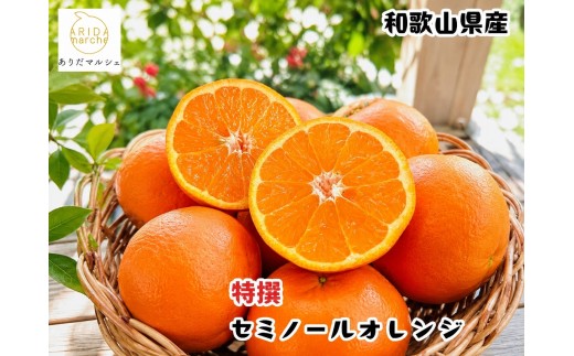 厳選 有田育ち セミノールオレンジ 5kg+200g(補償分)【ard016-p-5D】