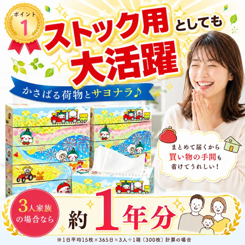 【定期便3回】ティッシュ 10箱 オリジナルデザイン BOXティッシュ ティッシュペーパー | 5箱 × 2パック 人気急上昇 高評価 |  限定 最大 真岡市 オリジナル 300枚 150組  日用