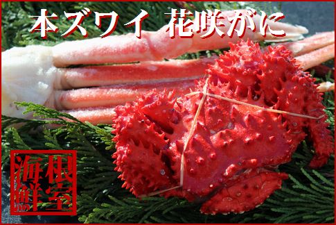 本ズワイガニ足1肩、花咲ガニ1尾(計450～500g前後) A-57040