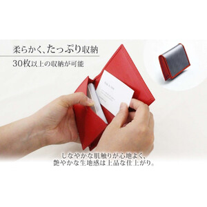 hide k 1896 ソフトカーボン カードケース タイプb【レッド】card case b 11.5cm×7.5cm×2cm メンズ 名刺入れ 名刺ケース めいし ビジネス カード入れ カウレザー