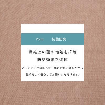 ふるさと納税 和泉市 カーペット 日本製 抗菌防臭 軽量薄手 ジェミニ 261×352cm 江戸間 6畳用 ベージュ |  | 02