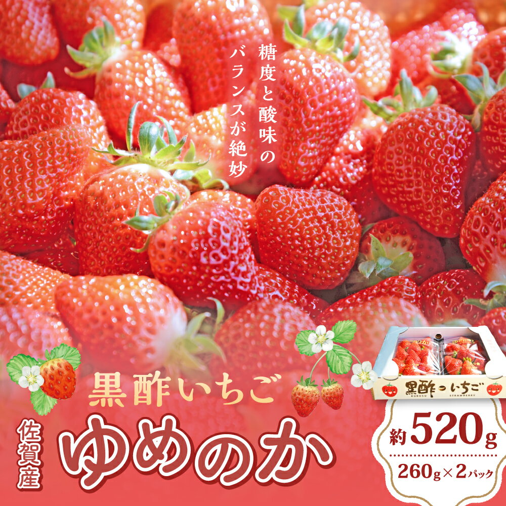 【ふるさと納税】N239-01 黒酢いちご（ゆめのか）平パック 260g×2パック 黒酢いちご 黒酢苺 黒酢イチゴ いちご 苺 イチゴ ストロベリー ゆめのか 甘い 美味しい おいしい 太良町 佐賀 冷蔵品