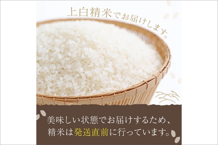 令和7年産 丹後こしひかり 3kg 1等米