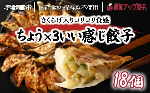 
            宇都宮餃子 運気アップ餃子  ちょう×3いい感じ餃子 18個 保存料不使用【 餃子 ぎょうざ 冷凍餃子 冷凍食品 惣菜 栃木県 宇都宮市 】※配送不可地域：離島
          