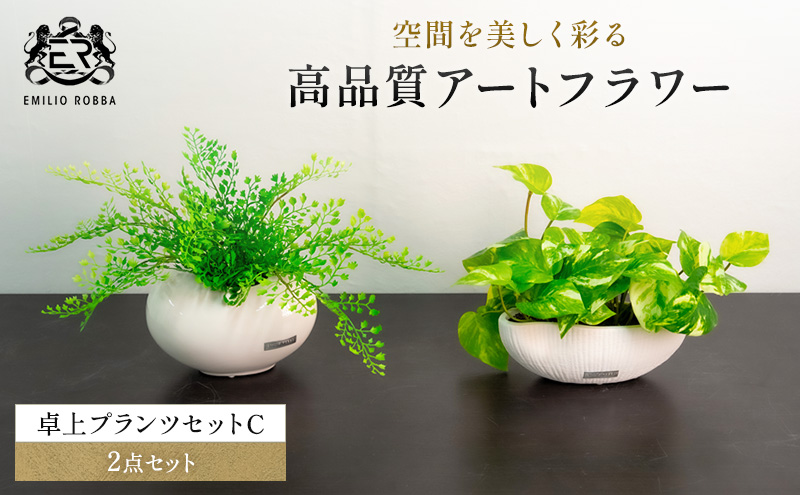 エミリオロバ　卓上プランツセットＣ