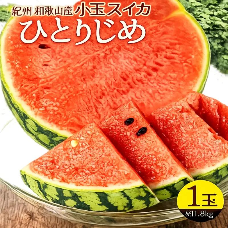 紀州和歌山産 小玉スイカ「ひとりじめ」 1玉 ※2027年5月下旬頃〜6月下旬頃順次発送予定 【uot402-r-1】