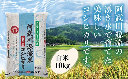 D357 阿武川源流米コシヒカリ白米10㎏