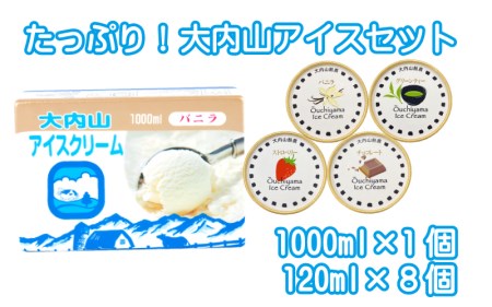 アイスクリーム アイス バニラ 抹茶 グリーンティー イチゴ ストロベリー チョコ チョコレート 大容量 / たっぷり大内山アイスセット【khy041A】