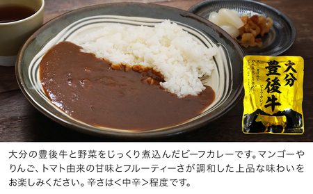 大分 豊後牛 ビーフ カレー 10袋 セット | カレー 津久見市