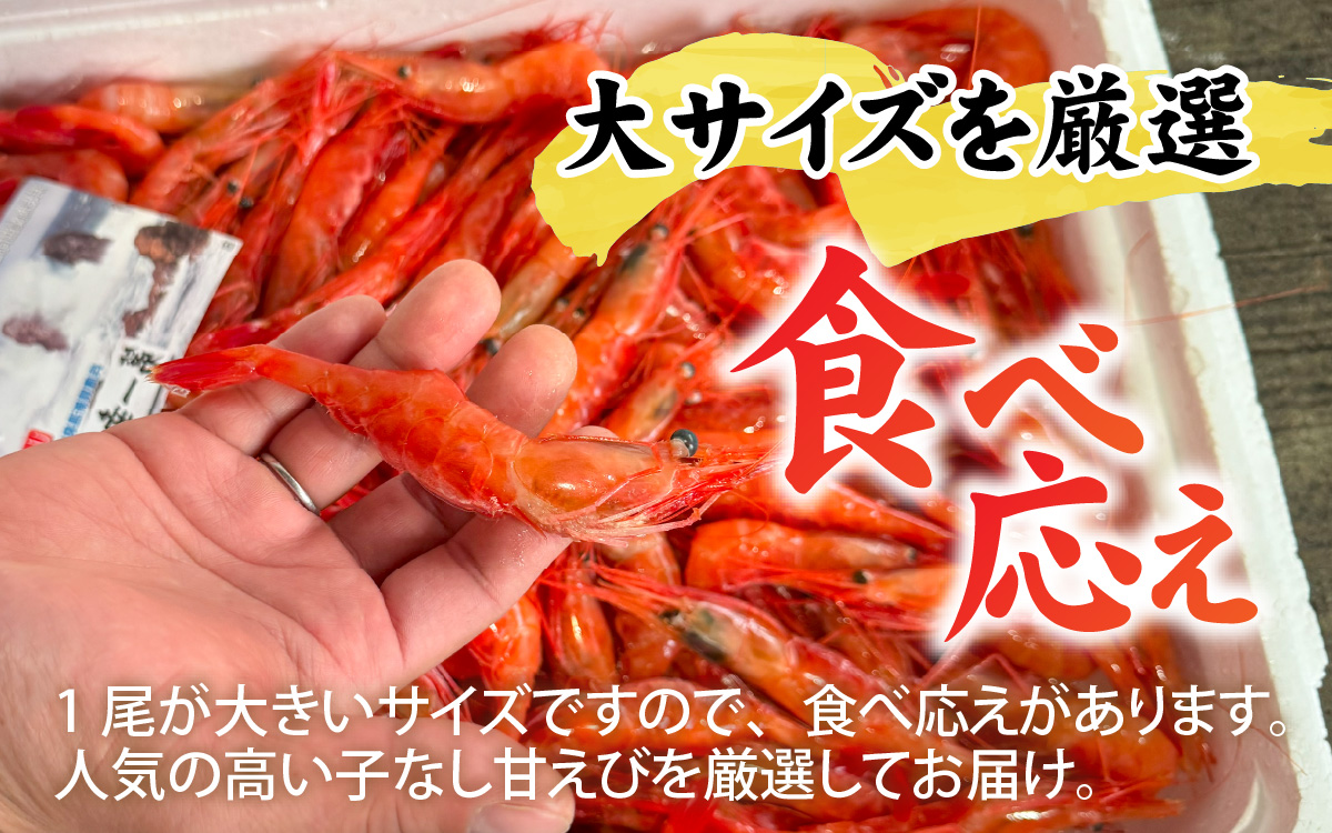 甘えび (大サイズ) 約700g 天然・鮮度抜群！【発泡箱】 船内冷凍 32尾