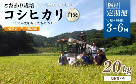 
            【定期便3～6回隔月お届け】令和6年産 有機栽培コシヒカリ白米 20kg×3～6回(隔月) 京都府産 低農薬 隔月お届け【 定期便 隔月 米 20キロ 精米 白米 こめ コメ お米 おこめ こしひかり 井上吉夫 米農家 有機栽培米 有機栽培 農家直送 減農薬 綾部市 京都府 】
          